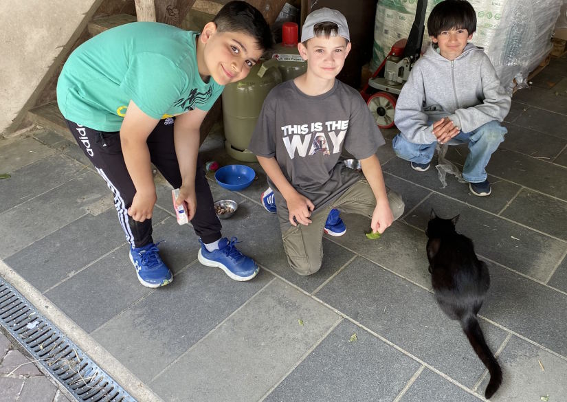 Klassenfahrt Tiere