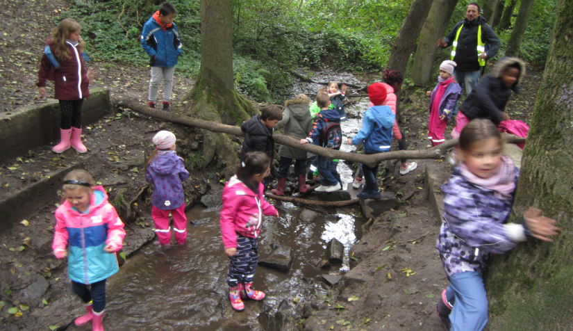 Waldausflug Wasser